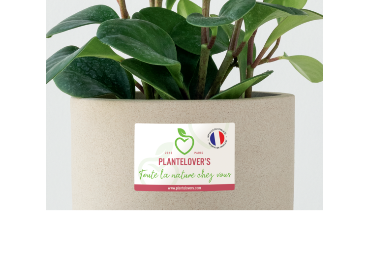 Étiquettes Papier Couché recyclé