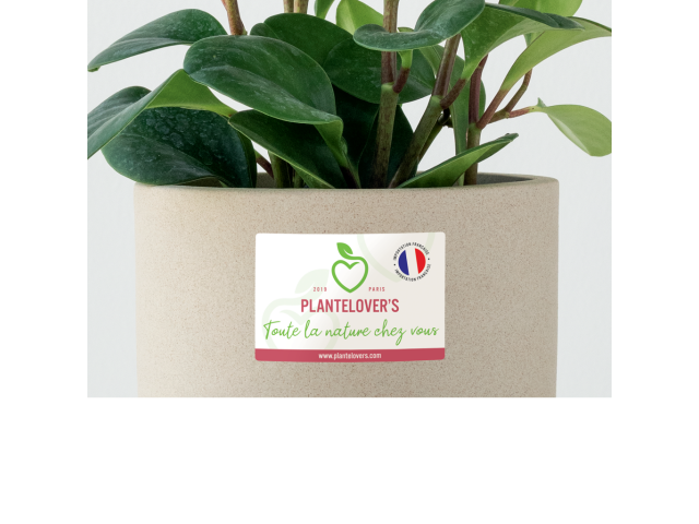 Étiquettes Papier Couché recyclé