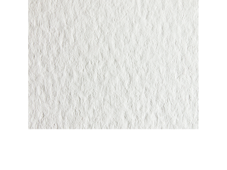 Étiquettes Tintoretto blanc